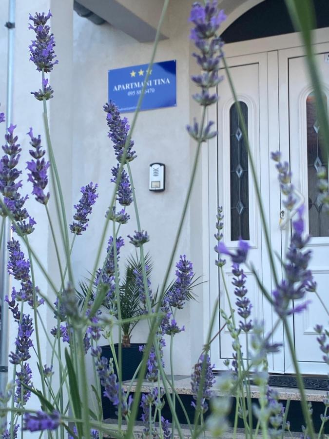 Apartment Tina ロゴズニッツァ エクステリア 写真