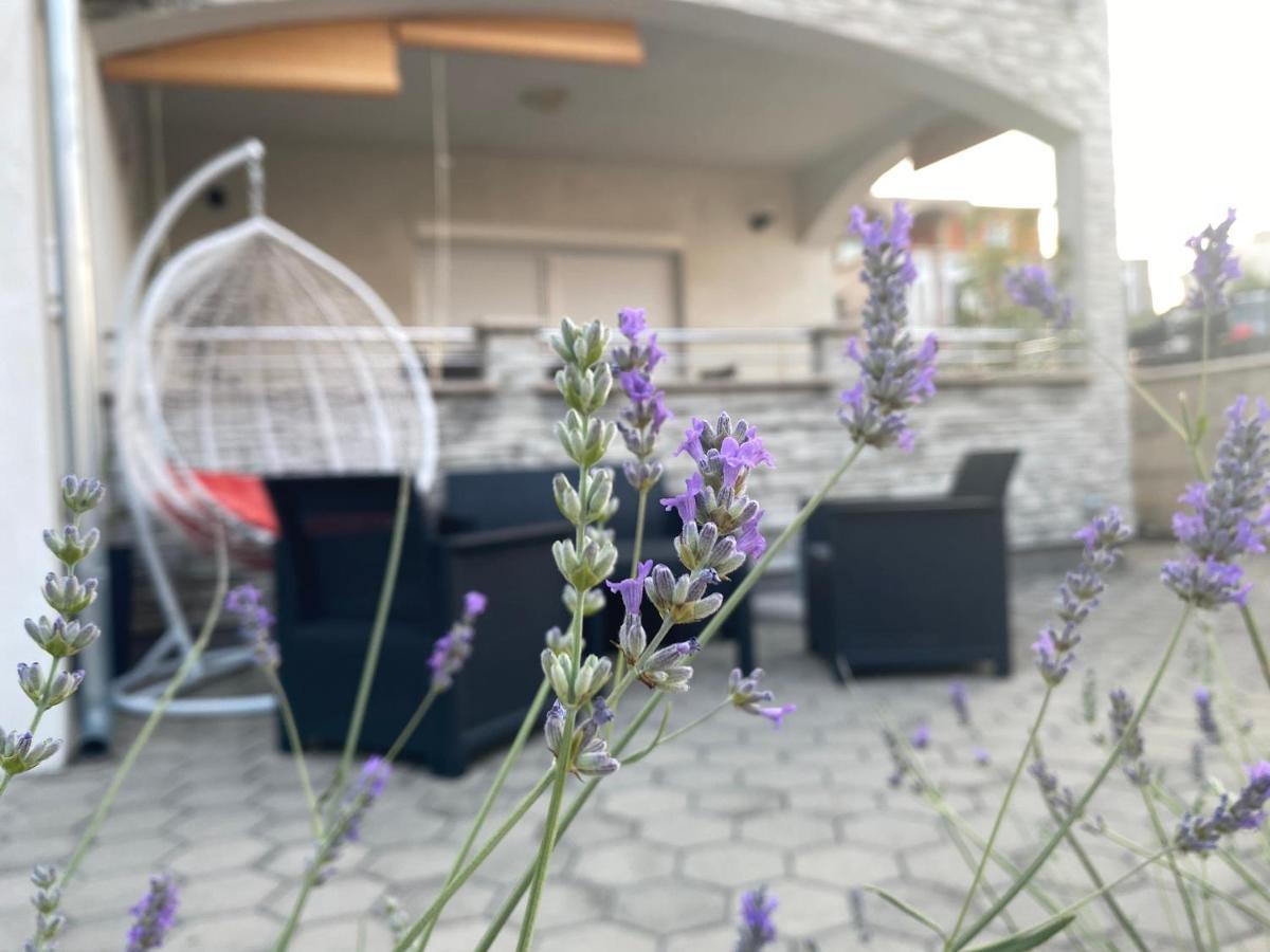 Apartment Tina ロゴズニッツァ エクステリア 写真
